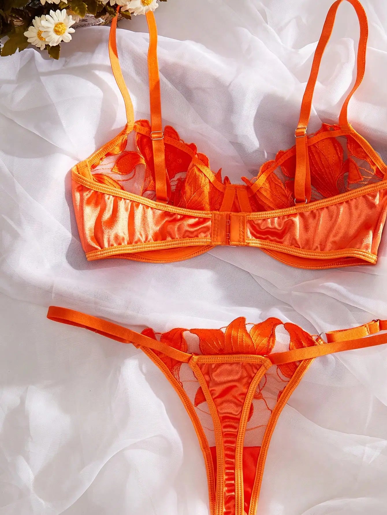 Ensemble Charlotte